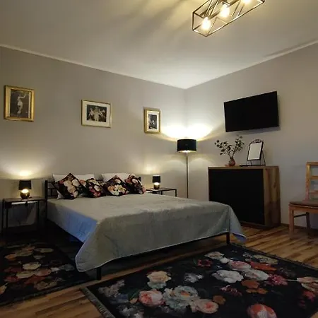 Hoffman Apartament Krakow Exterior photo